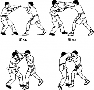 图片101