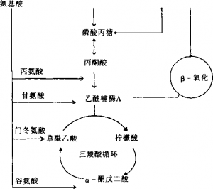 图片8