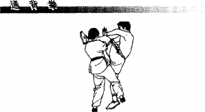图片117