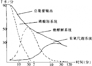 图片10