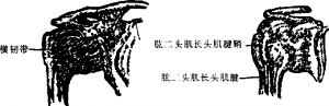 图片7