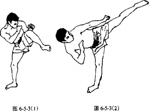 图片33