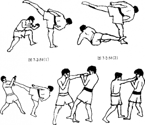 图片152
