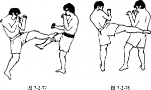 图片175