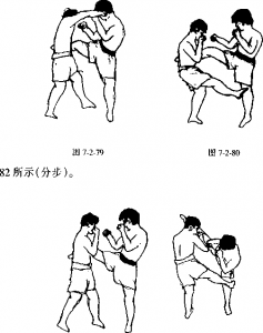 图片176