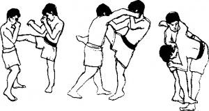 图片181