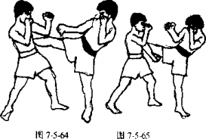 图片226
