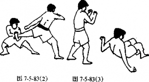 图片241