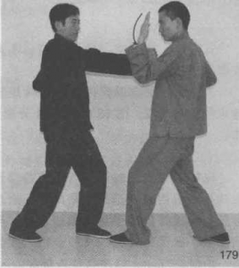 图片95