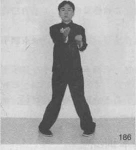 图片101
