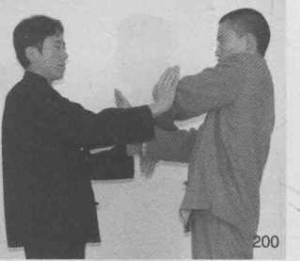 图片153