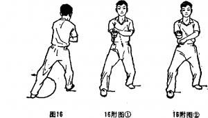 图片156