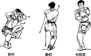 图片236
