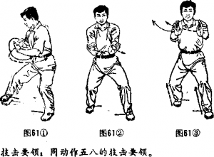 图片256