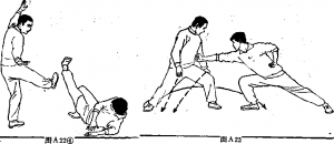 图片20