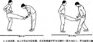 图片21