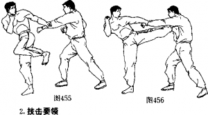 图片6