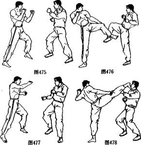 图片15