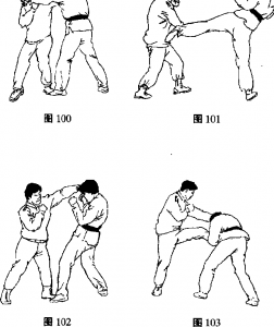 图片30