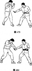图片44