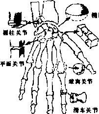 图片71