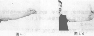 图片2
