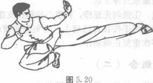 图片48