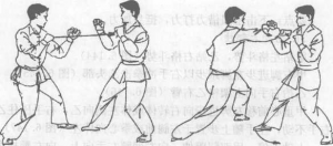 图片113