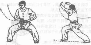 图片237