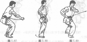 图片255