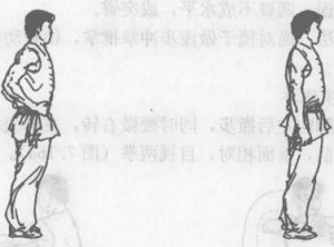 图片313