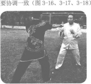 图片11