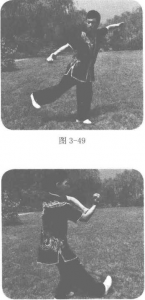 图片30