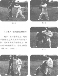 图片56