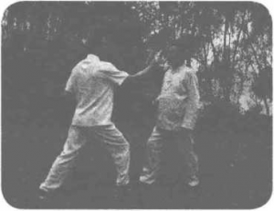图片87