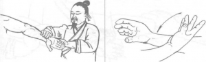 图片15