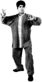 41