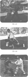 图片8