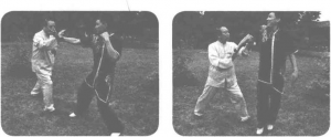 图片10