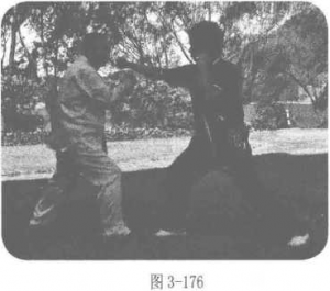 图片14