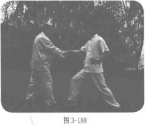 图片20