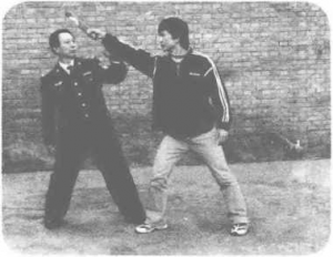 图片95