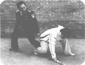 图片107
