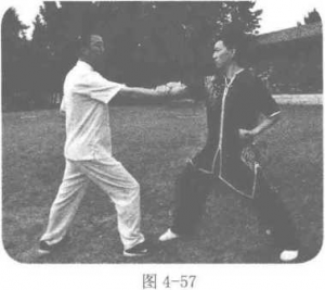 图片161