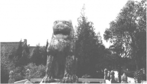 图片21