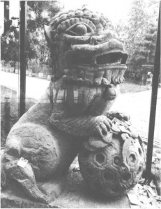 图片33