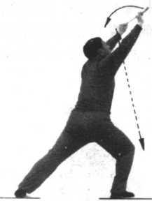 39.2