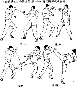 图片7