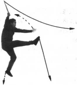 53