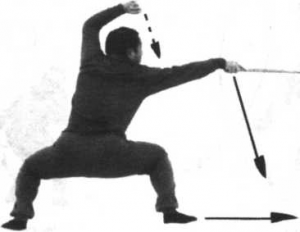 54